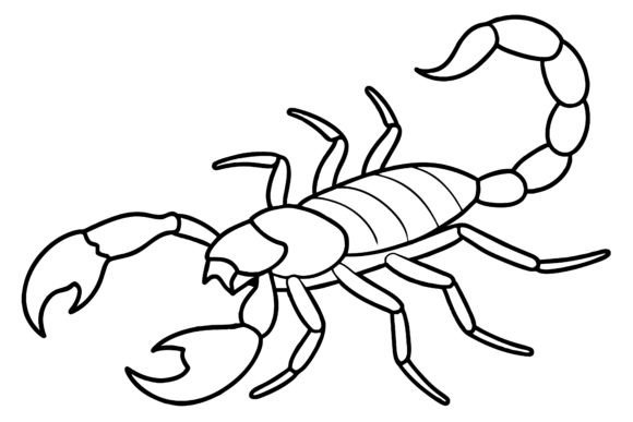 Download Scorpion Vector Coloring Page Image - Premium Bundle