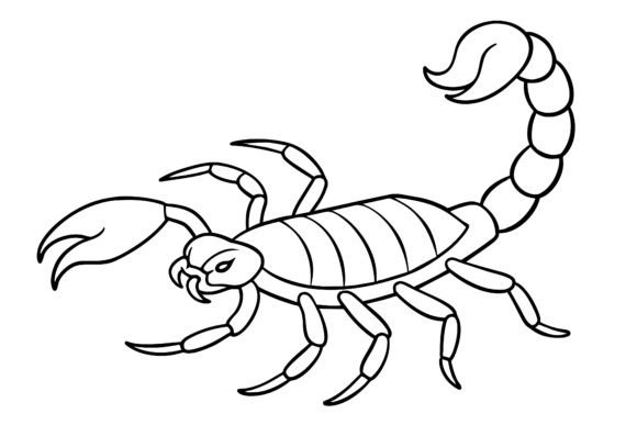 Download Scorpion Vector Coloring Page Image - Premium Resources