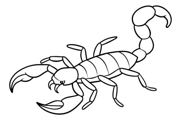 Download Scorpion Vector Coloring Page Image - Premium Bundle