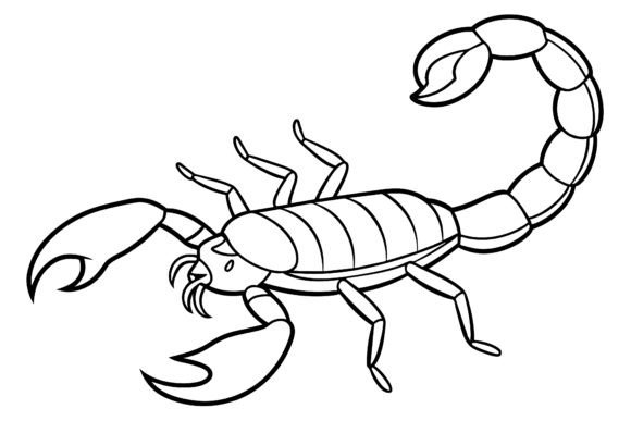 Download Scorpion Vector Coloring Page Image - Premium Bundle