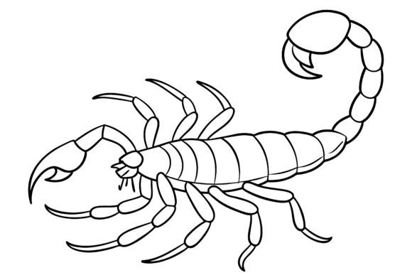 Download Scorpion Vector Coloring Page Image - Premium Resources