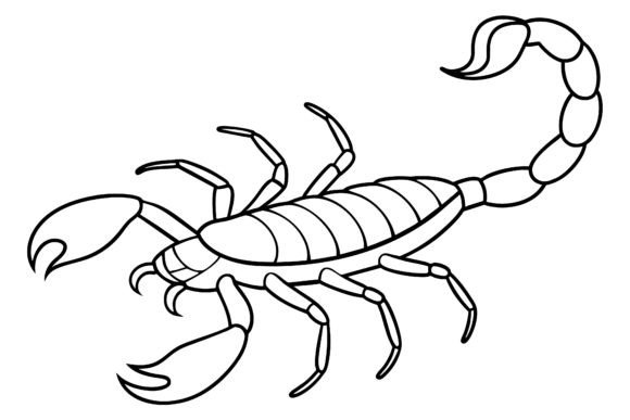 Download Scorpion Vector Coloring Page Image - Premium Resources